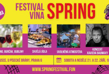 SPRING FESTIVAL VÍNA 2024